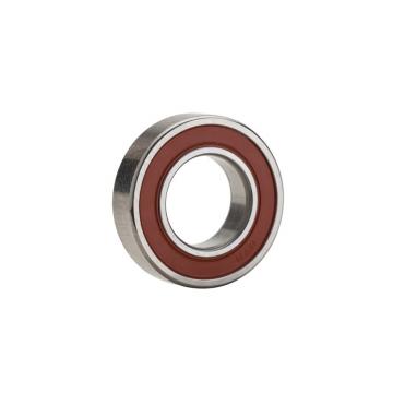 10 mm x 19 mm x 5 mm  NTN 6800ZZ  JAPAN  Bearing