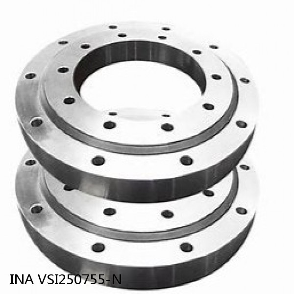 VSI250755-N INA Slewing Ring Bearings