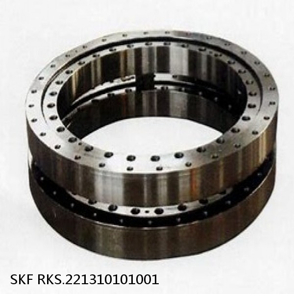 RKS.221310101001 SKF Slewing Ring Bearings