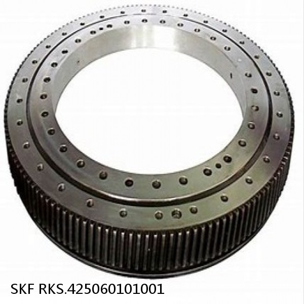 RKS.425060101001 SKF Slewing Ring Bearings