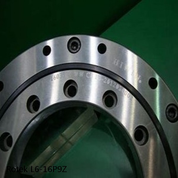 L6-16P9Z Rotek Slewing Ring Bearings