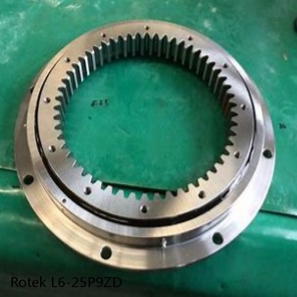 L6-25P9ZD Rotek Slewing Ring Bearings