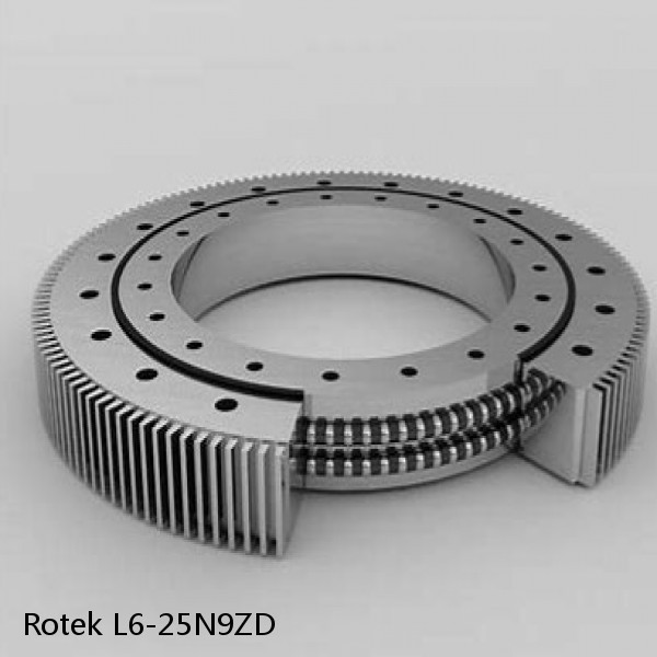 L6-25N9ZD Rotek Slewing Ring Bearings