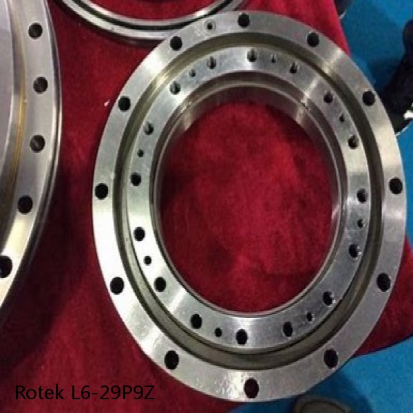 L6-29P9Z Rotek Slewing Ring Bearings