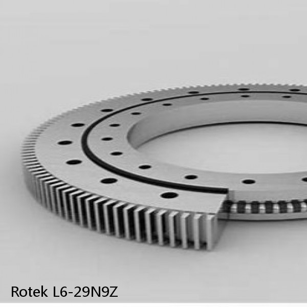 L6-29N9Z Rotek Slewing Ring Bearings