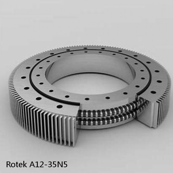 A12-35N5 Rotek Slewing Ring Bearings