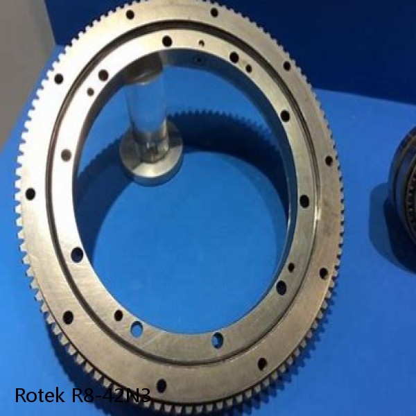 R8-42N3 Rotek Slewing Ring Bearings