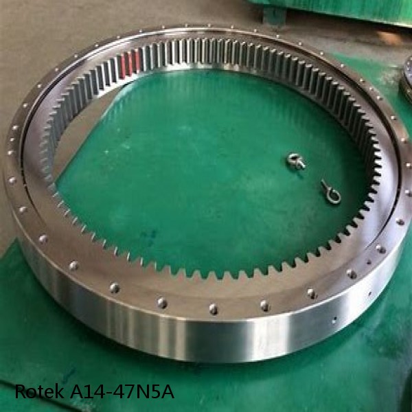 A14-47N5A Rotek Slewing Ring Bearings