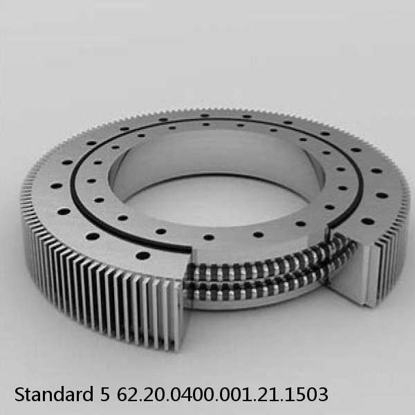 62.20.0400.001.21.1503 Standard 5 Slewing Ring Bearings