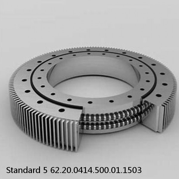 62.20.0414.500.01.1503 Standard 5 Slewing Ring Bearings