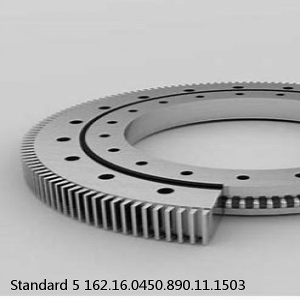 162.16.0450.890.11.1503 Standard 5 Slewing Ring Bearings