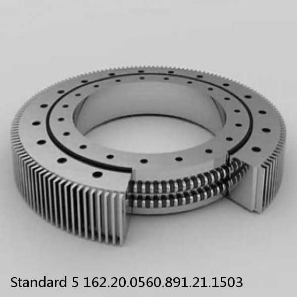 162.20.0560.891.21.1503 Standard 5 Slewing Ring Bearings