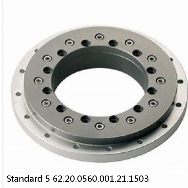 62.20.0560.001.21.1503 Standard 5 Slewing Ring Bearings