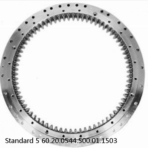 60.20.0544.500.01.1503 Standard 5 Slewing Ring Bearings