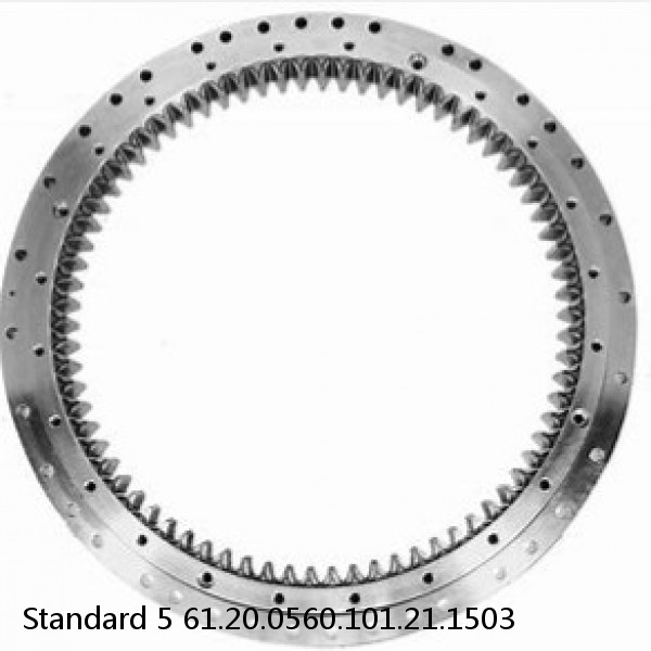 61.20.0560.101.21.1503 Standard 5 Slewing Ring Bearings