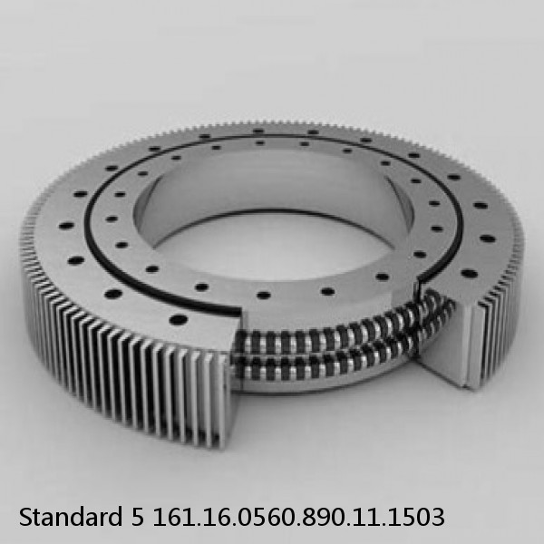 161.16.0560.890.11.1503 Standard 5 Slewing Ring Bearings