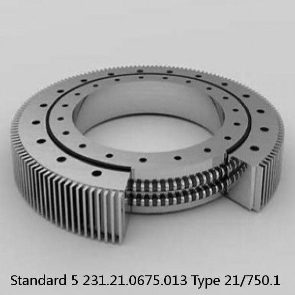 231.21.0675.013 Type 21/750.1 Standard 5 Slewing Ring Bearings