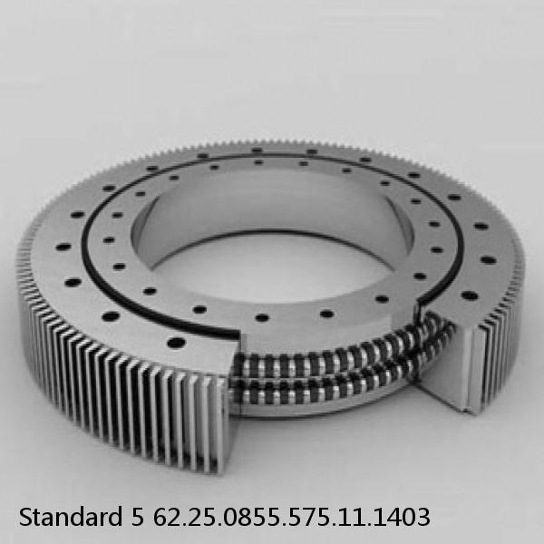 62.25.0855.575.11.1403 Standard 5 Slewing Ring Bearings