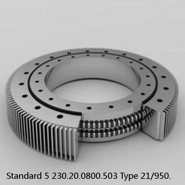 230.20.0800.503 Type 21/950. Standard 5 Slewing Ring Bearings