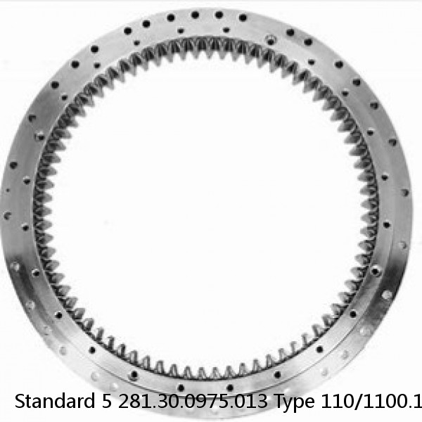 281.30.0975.013 Type 110/1100.1 Standard 5 Slewing Ring Bearings