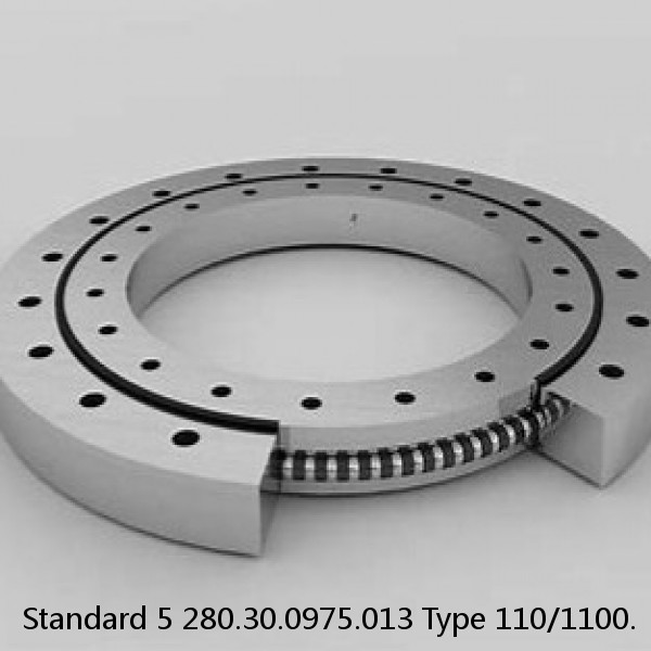 280.30.0975.013 Type 110/1100. Standard 5 Slewing Ring Bearings