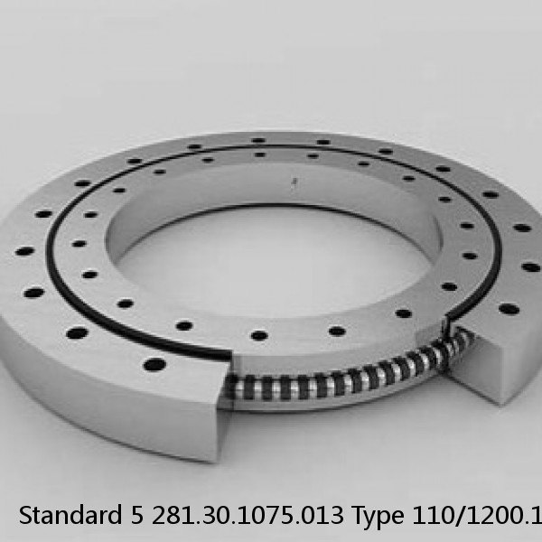 281.30.1075.013 Type 110/1200.1 Standard 5 Slewing Ring Bearings