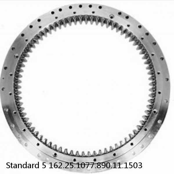 162.25.1077.890.11.1503 Standard 5 Slewing Ring Bearings