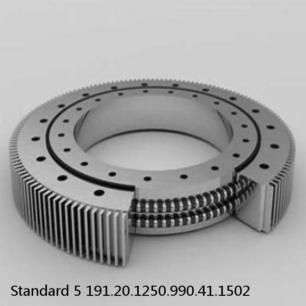 191.20.1250.990.41.1502 Standard 5 Slewing Ring Bearings