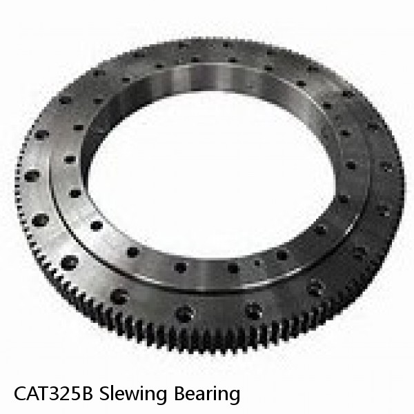 CAT325B Slewing Bearing