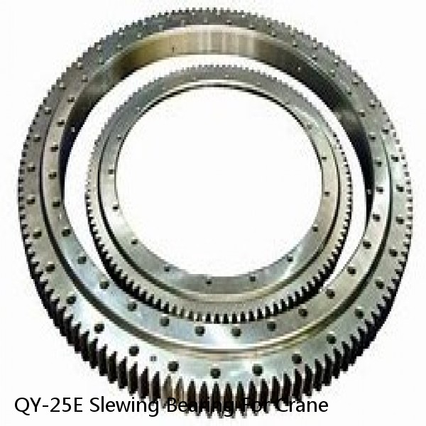 QY-25E Slewing Bearing For Crane
