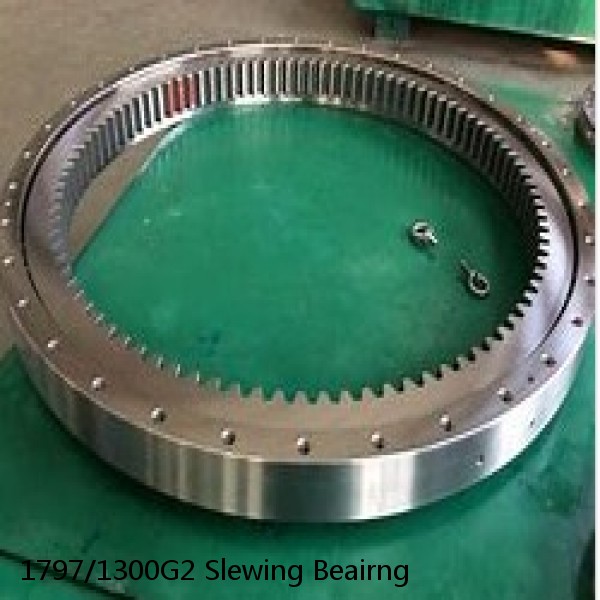 1797/1300G2 Slewing Beairng