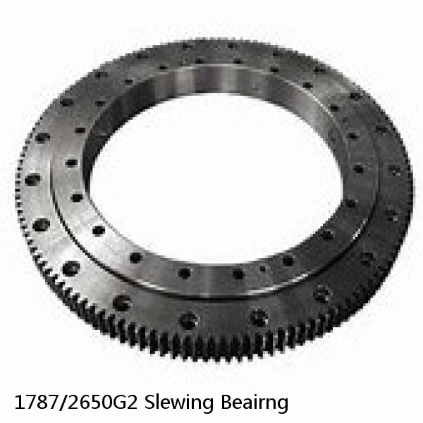 1787/2650G2 Slewing Beairng