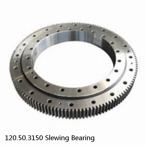 120.50.3150 Slewing Bearing