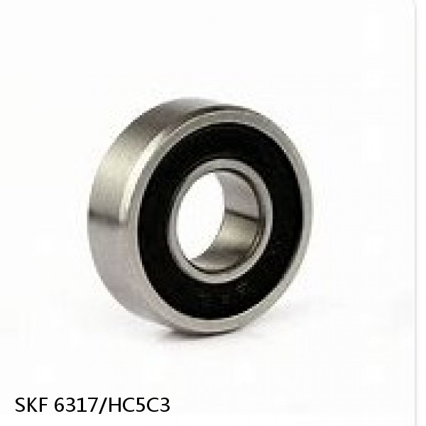6317/HC5C3 SKF Hybrid Deep Groove Ball Bearings