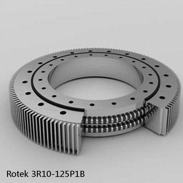 3R10-125P1B Rotek Slewing Ring Bearings