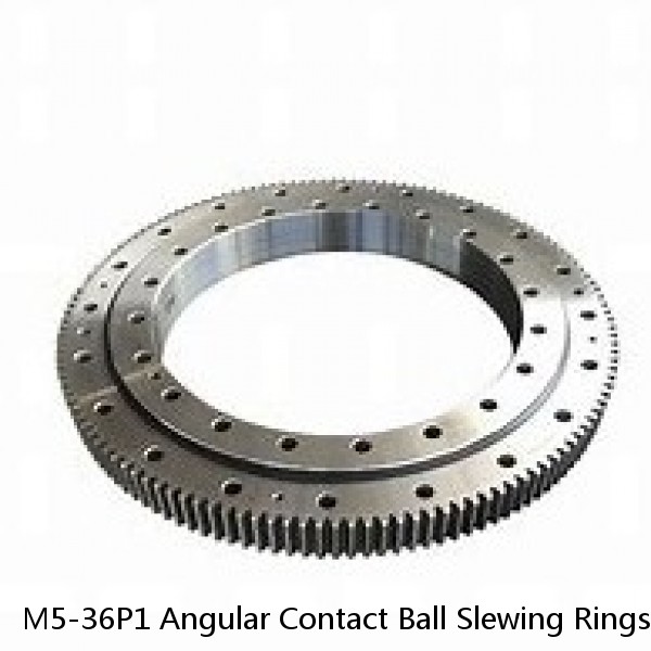 M5-36P1 Angular Contact Ball Slewing Rings