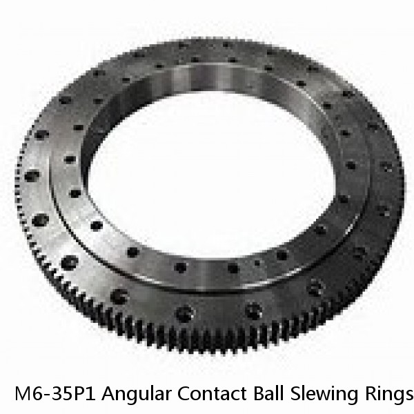 M6-35P1 Angular Contact Ball Slewing Rings