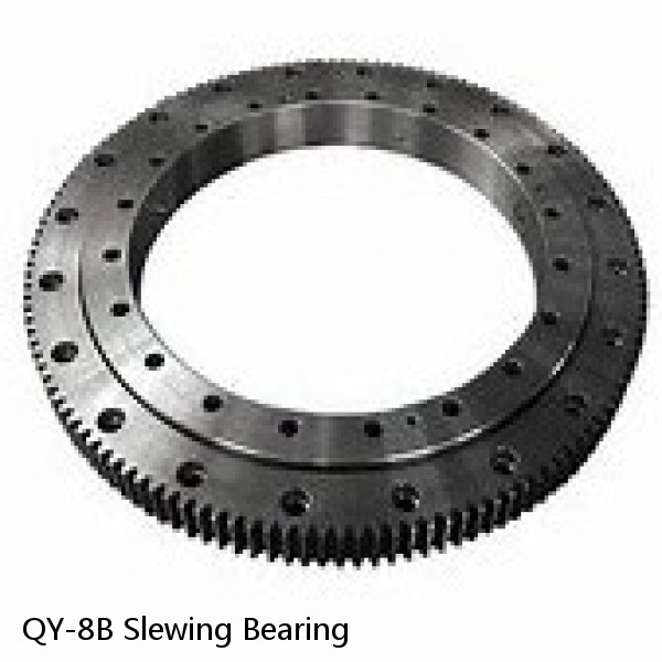 QY-8B Slewing Bearing