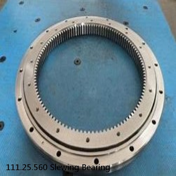 111.25.560 Slewing Bearing