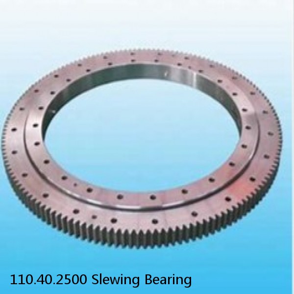 110.40.2500 Slewing Bearing